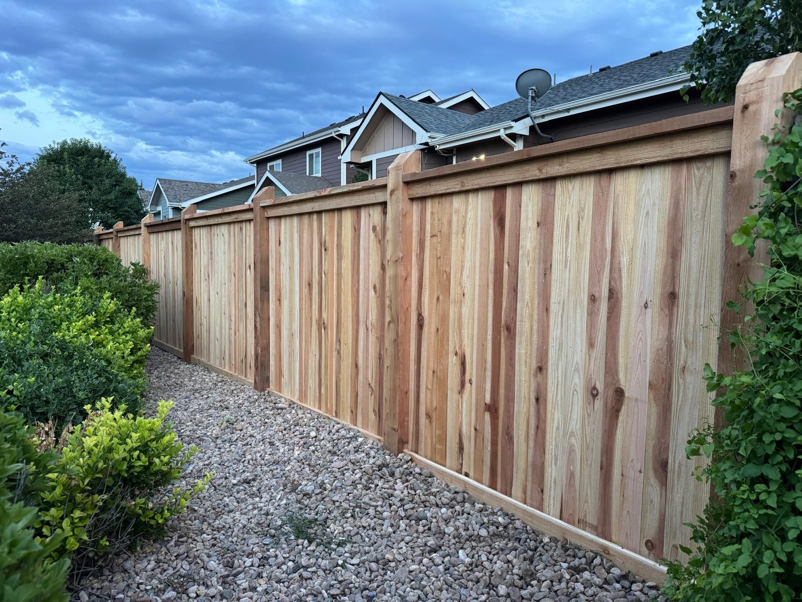 Cedar Fence